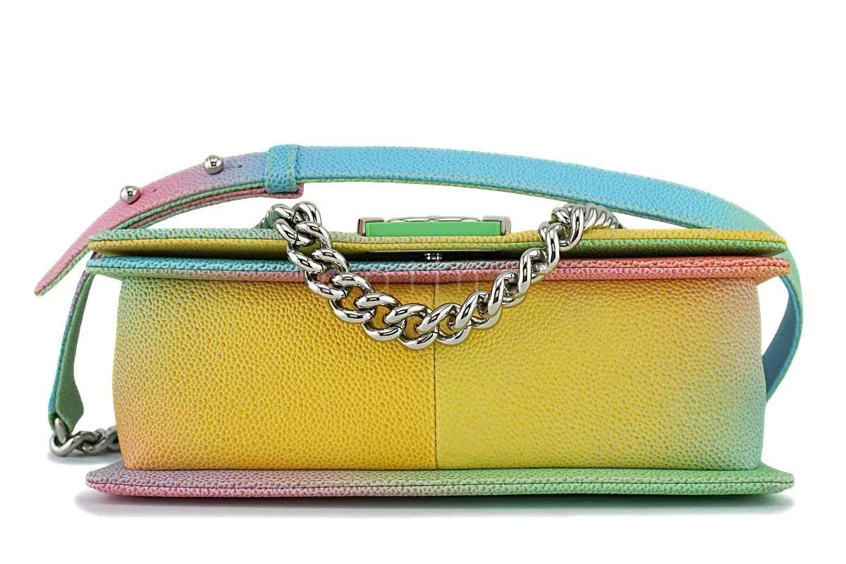 17C Chanel Rainbow Caviar Medium Classic Boy Flap Bag SHW