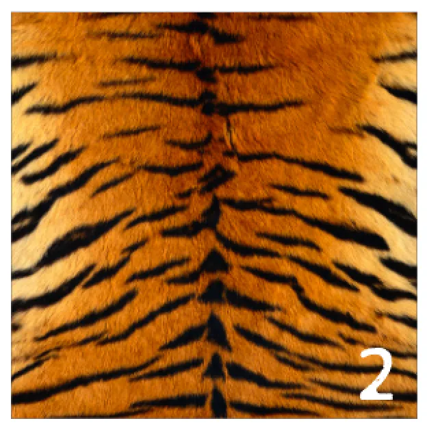 Printed Adhesive Vinyl REALISTIC ANIMAL PRINTS Patterned Vinyl 12 x 12 inch sheet