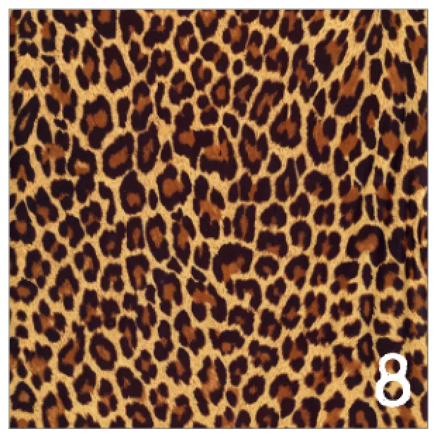 Printed Adhesive Vinyl REALISTIC ANIMAL PRINTS Patterned Vinyl 12 x 12 inch sheet