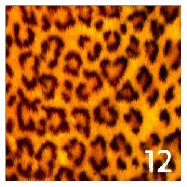 Printed Adhesive Vinyl REALISTIC ANIMAL PRINTS Patterned Vinyl 12 x 12 inch sheet